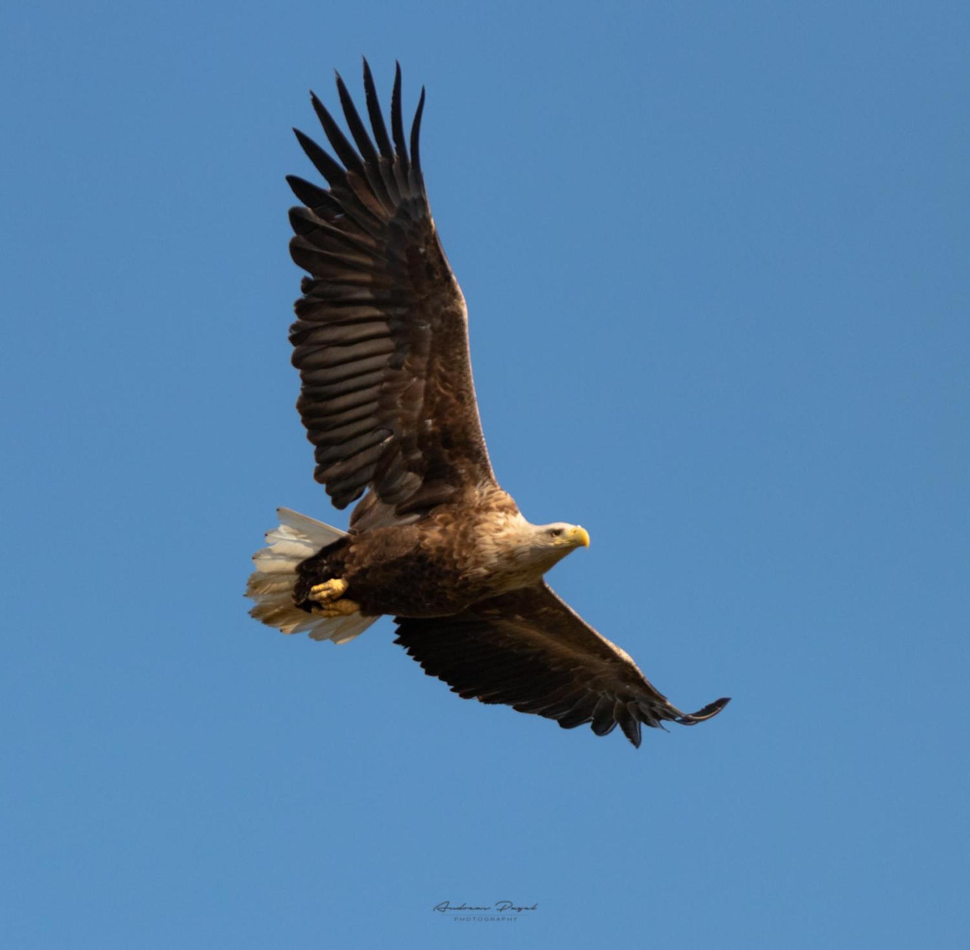 FeWo Seeadler - Heuser Prerow Exterior foto